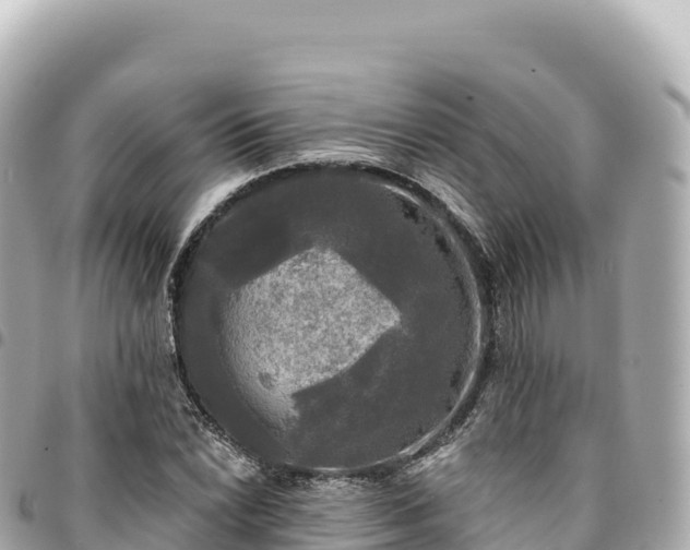 X0000095111022200712141147