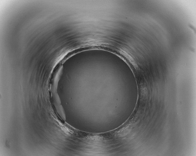 X0000095111023200712141147