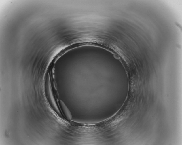 X0000095111024200712141147