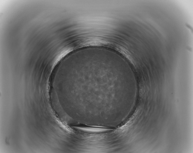 X0000095111026200712141147