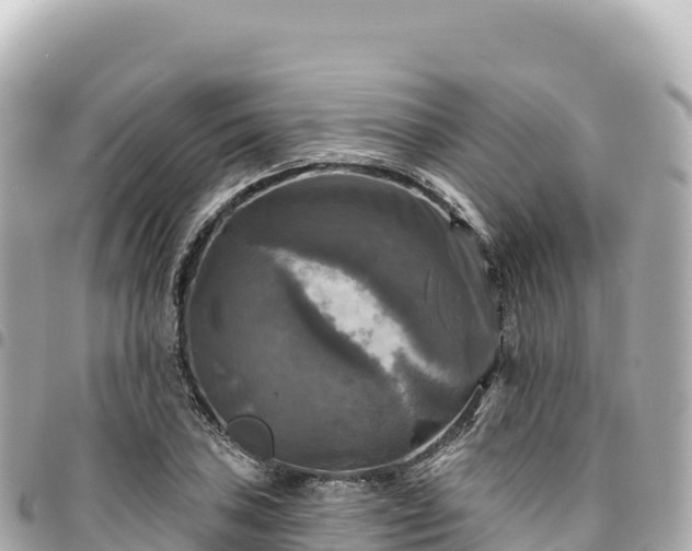 X0000095111027200712141147