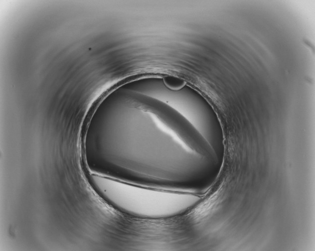 X0000095111028200712141147