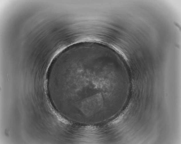 X0000095111029200712141147