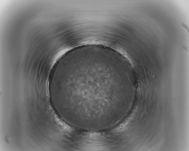 X0000095111030200712141147