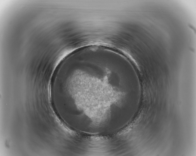 X0000095111032200712141147