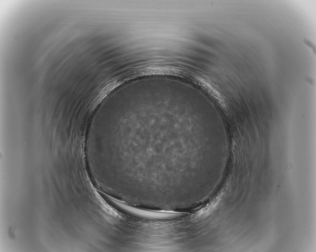 X0000095111033200712141147