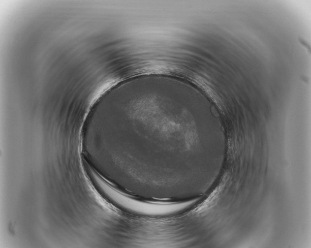 X0000095111034200712141147