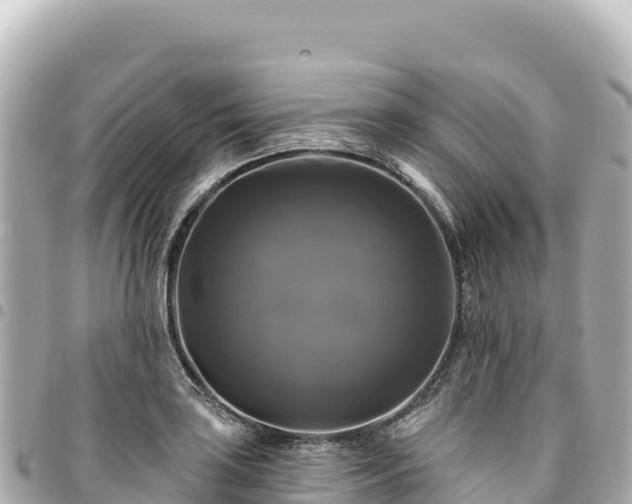 X0000095111035200712141147