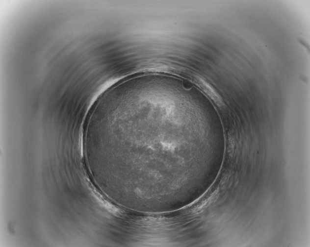 X0000095111036200712141147