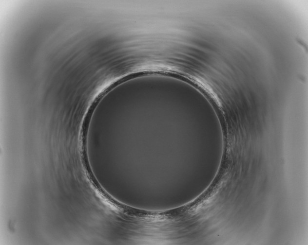 X0000095111037200712141147