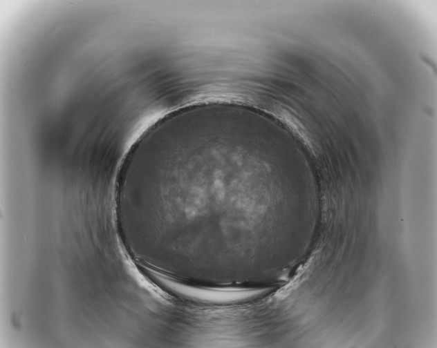 X0000095111038200712141147