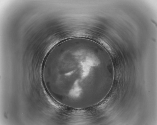 X0000095111039200712141147