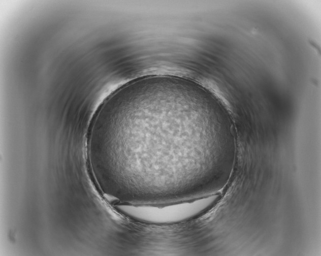 X0000095111040200712141147