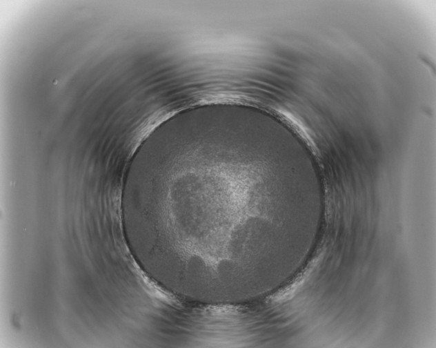 X0000095111041200712141147