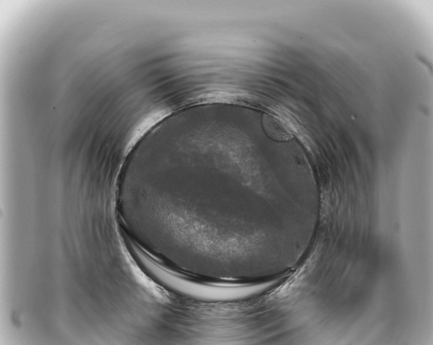 X0000095111042200712141147