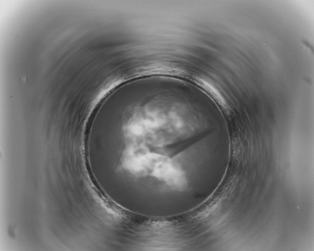 X0000095111043200712141147