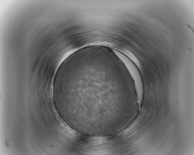 X0000095111044200712141147