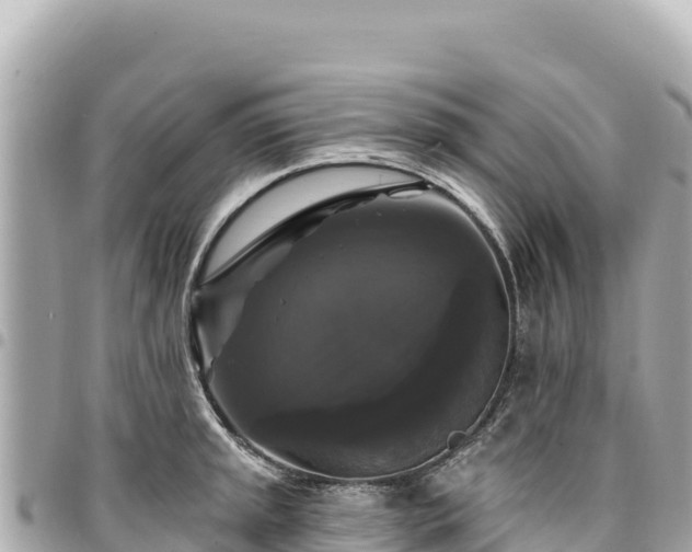 X0000095111045200712141147