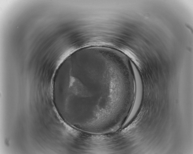 X0000095111046200712141147