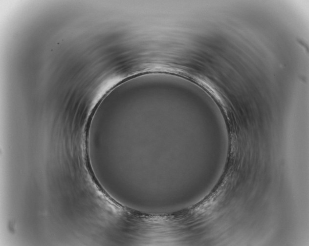 X0000095111048200712141147