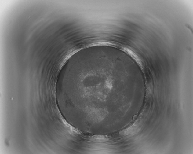 X0000095111049200712141147