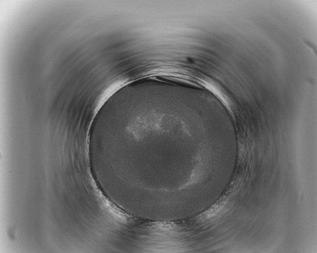 X0000095111050200712141147