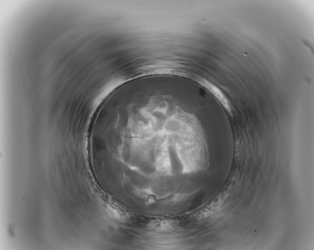 X0000095111051200712141147