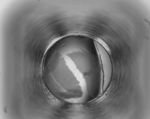 X0000095111052200712141147