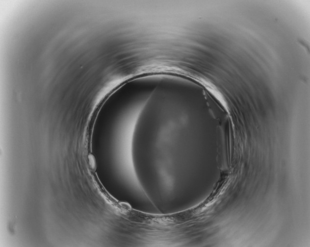 X0000095111053200712141147