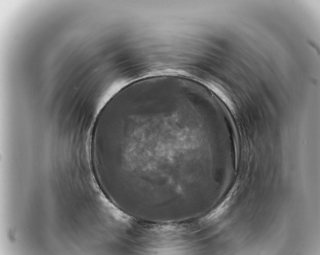 X0000095111054200712141147