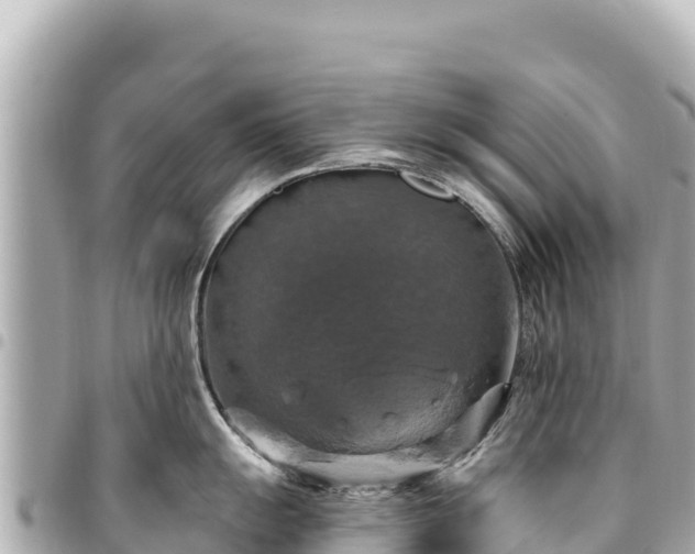 X0000095111055200712141147