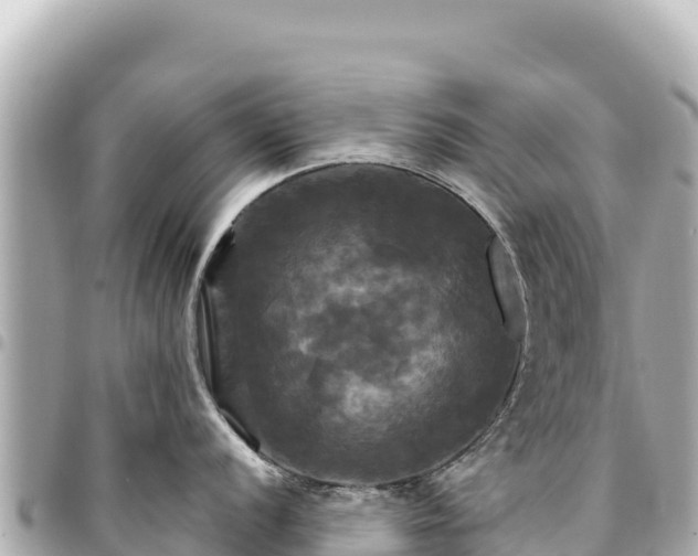 X0000095111056200712141147