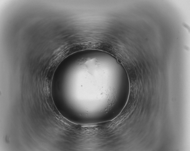 X0000095111058200712141146