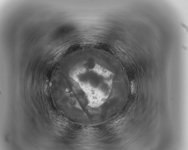 X0000095111059200712141146