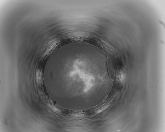 X0000095111060200712141146