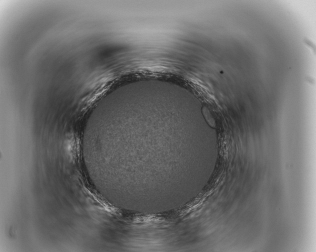 X0000095111061200712141146