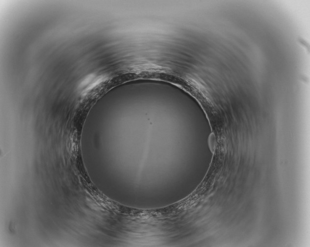 X0000095111063200712141146