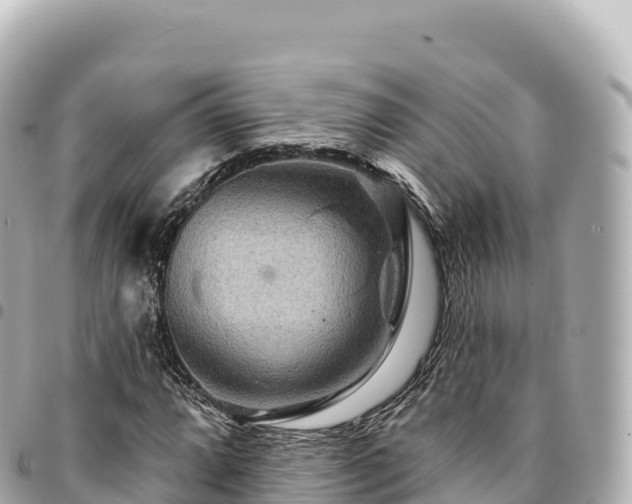 X0000095111064200712141146