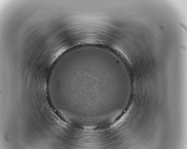 X0000095111065200712141146