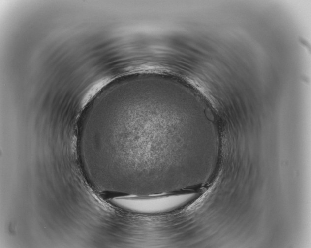 X0000095111066200712141146