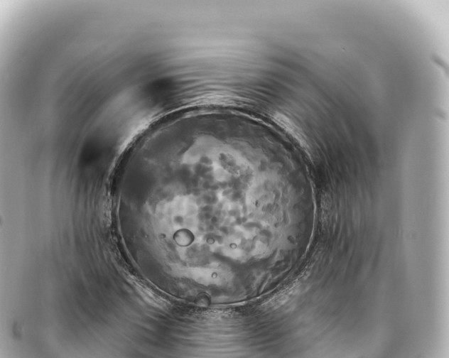 X0000095111067200712141146