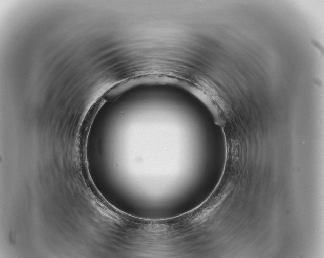 X0000095111068200712141146