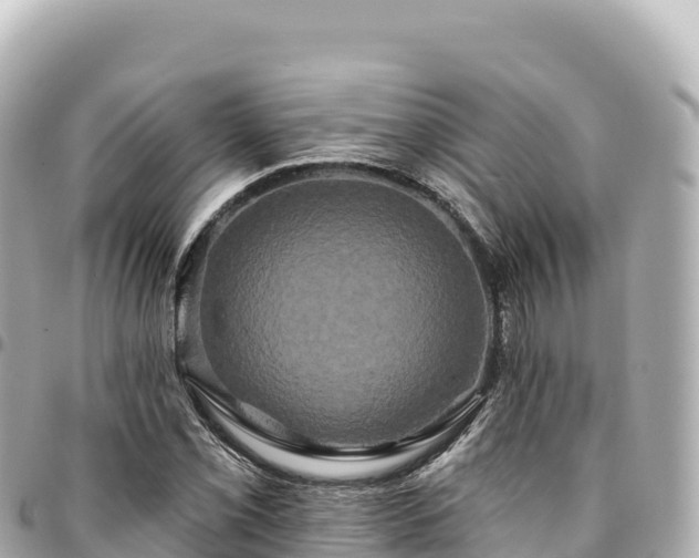 X0000095111069200712141146