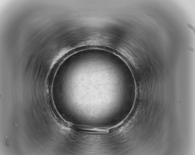 X0000095111070200712141146