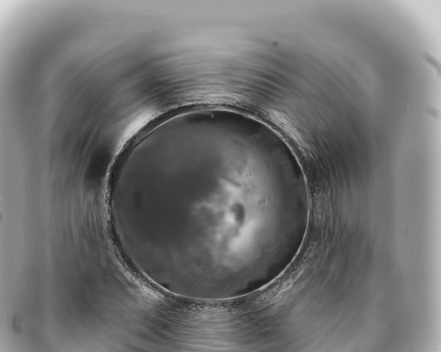 X0000095111071200712141146