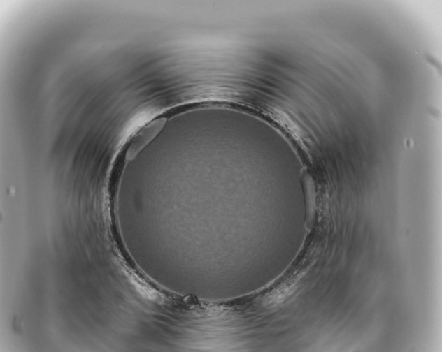 X0000095111072200712141146