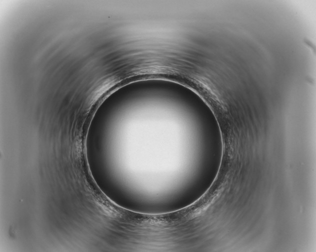 X0000095111073200712141146