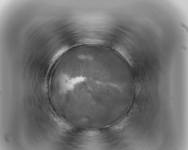 X0000095111074200712141146