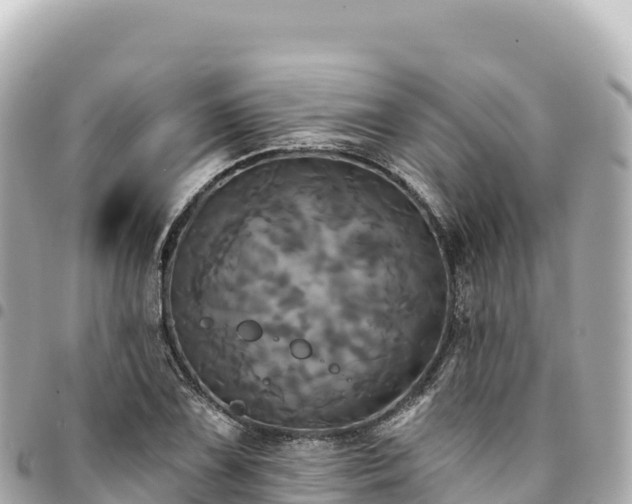 X0000095111075200712141146