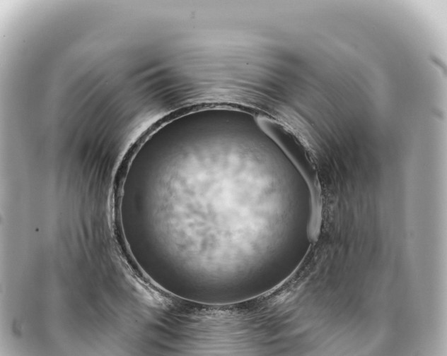 X0000095111076200712141146